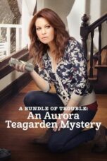 A Bundle of Trouble: An Aurora Teagarden Mystery (2017)